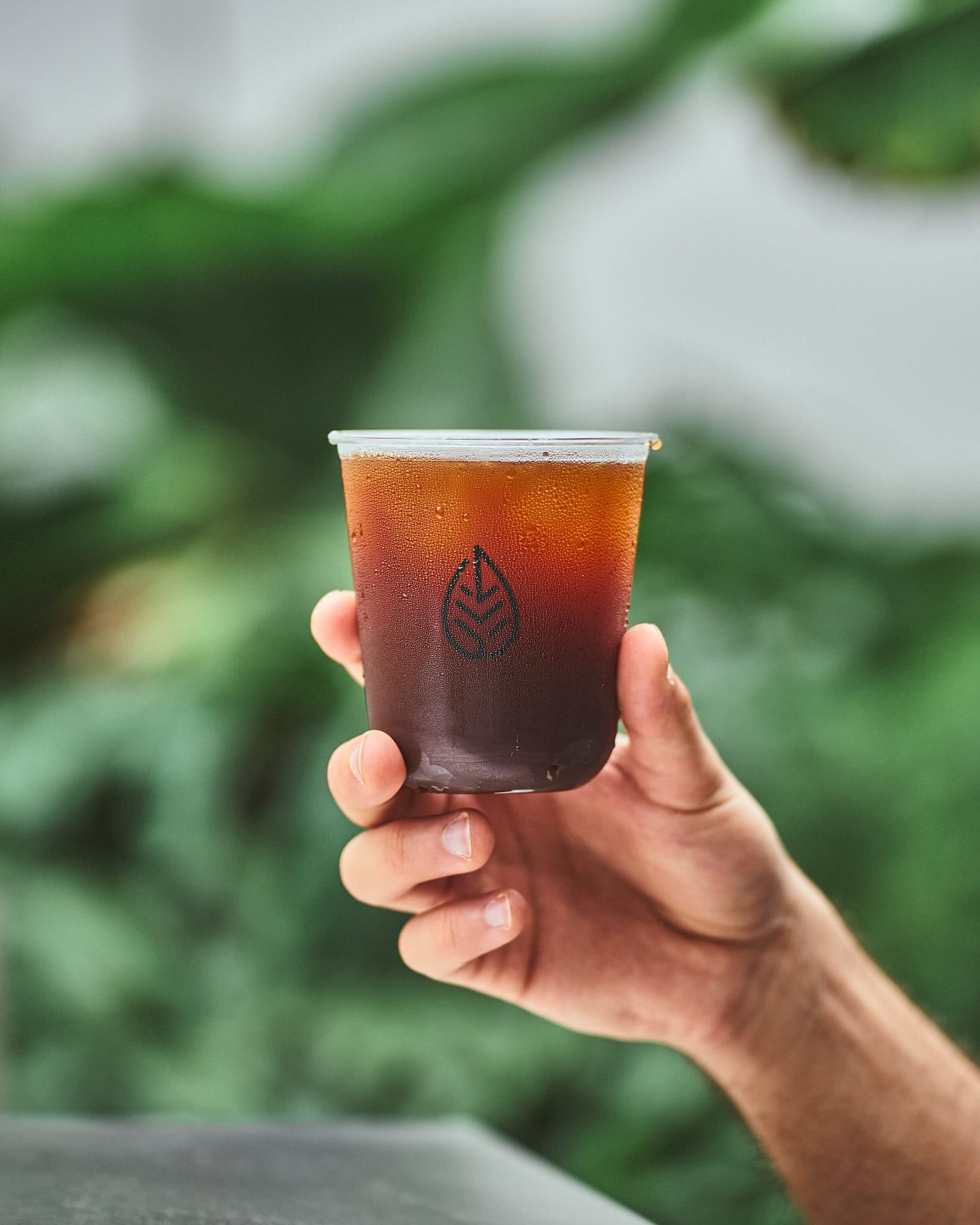 A hand holding an iced americano among the plants