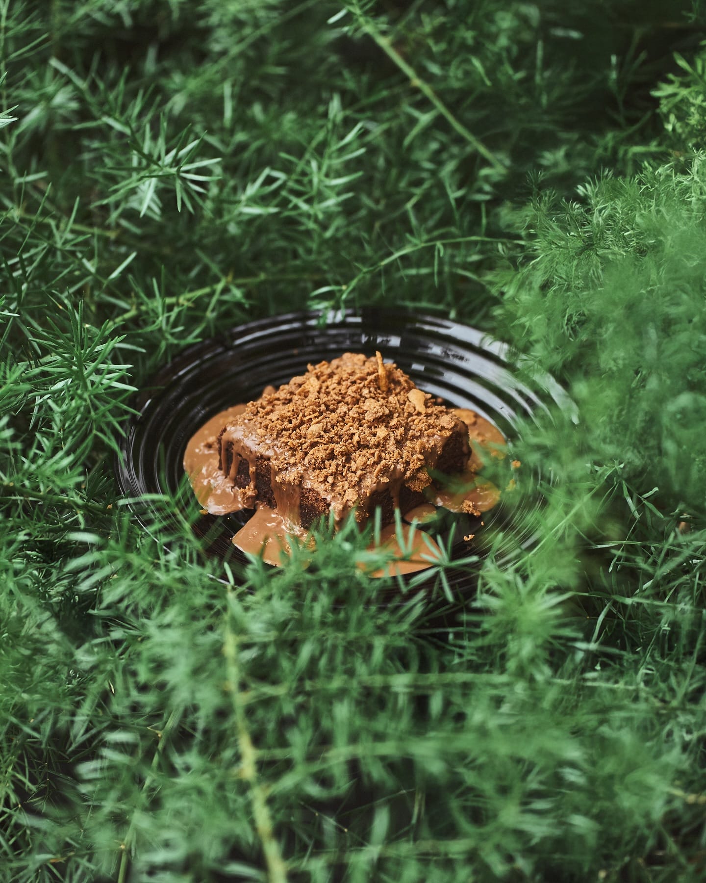 A brownie on a black plate, set down in the ferns
